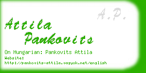 attila pankovits business card